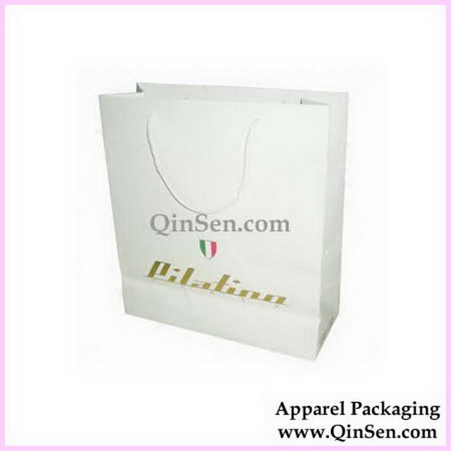 Luxury  Fashion Bag with Custom Brand Design-AB00064