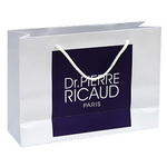 Distinctive Laminated Euro Paper Bag with Custom Brand Design for Shopping