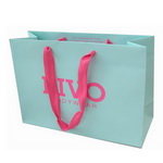 Elegant Paper Gift bag with Custom Logo